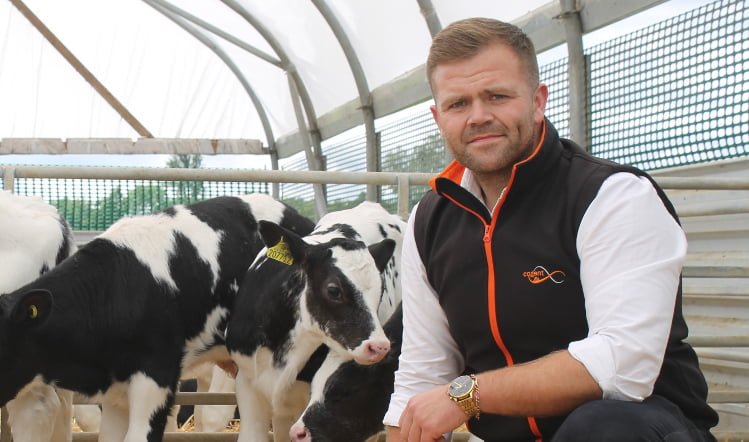 Improving Beef Supply Chains' Efficiency and Consistency with Innovative Beef Genetics Food and Beverage Business
