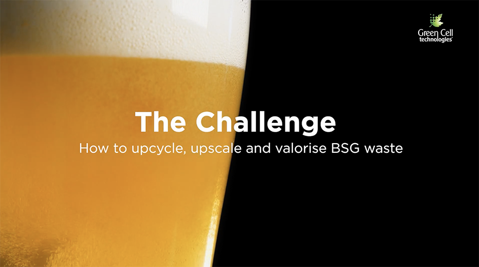 An Analysis of Utilizing BSG Waste for Creating Enhanced By-Products through Upcycling BSG Waste, By-Products, Case Study, Produce, Upcycling, Value-Added Food and Beverage Business