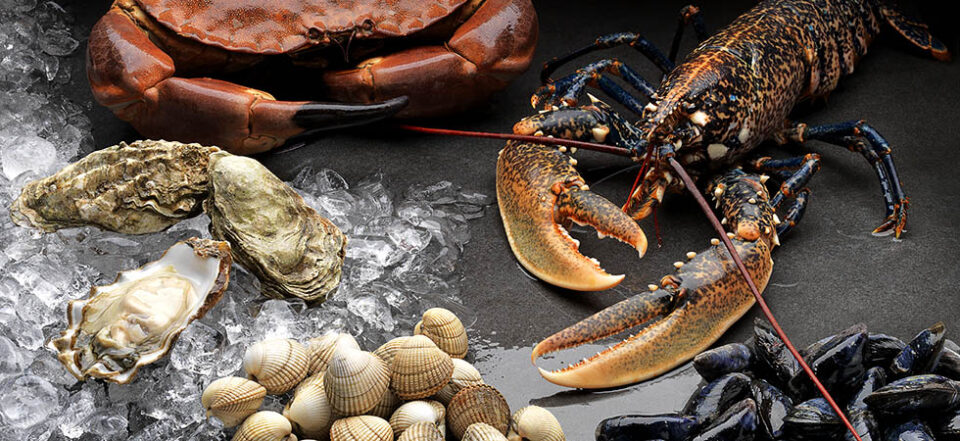 Barcelona Showcases its Seafood Selection Barcelona, Seafood, show Food and Beverage Business