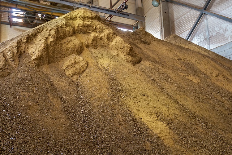 Study demonstrates the potential of modifying rapeseed cake into an alternative protein resource. alternative protein source, Rapeseed cake, Study Food and Beverage Business