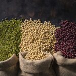 The Complex Truth about Plant-based Proteins within the Supply Chains of CPG Companies CPG companies, nuanced reality, plant-based proteins, supply chains Food and Beverage Business