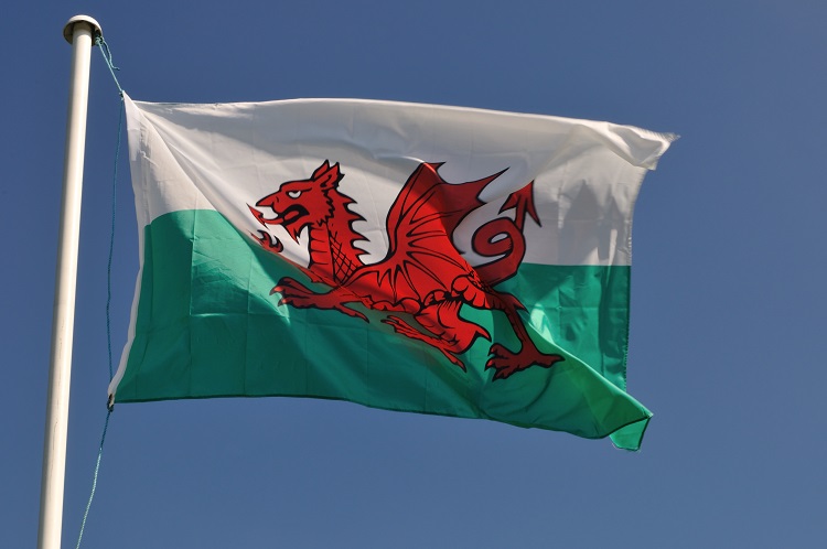 Welsh Perspective: Exploring the Border Target Operating Model with FSA Border Target Operating Model, FSA, Welsh perspective Food and Beverage Business