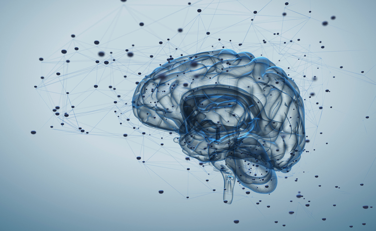 Enhancing Cognitive Scores in Elderly Individuals with Raisin Polyphenols cognitive scores, elderly, improve, Raisin polyphenols Food and Beverage Business