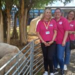Scunthorpe's Nisa Retailer Takes Action after School's 'Save our Sheep' Campaign action, campaign, Nisa, Nisa retailer, retailer, Save, Save our Sheep, school, Schools, Scunthorpe, Scunthorpes, Sheep, Takes Food and Beverage Business