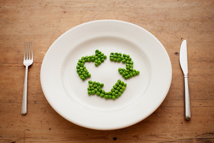 The sustainability potential of mycoprotein and fungal proteins fungal proteins, mycoprotein, sustainability potential Food and Beverage Business