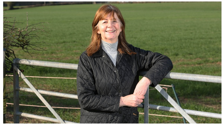 Wales Agricultural Bill to be voted on by Welsh parliament Vote, Wales Agricultural Bill, Welsh parliament Food and Beverage Business