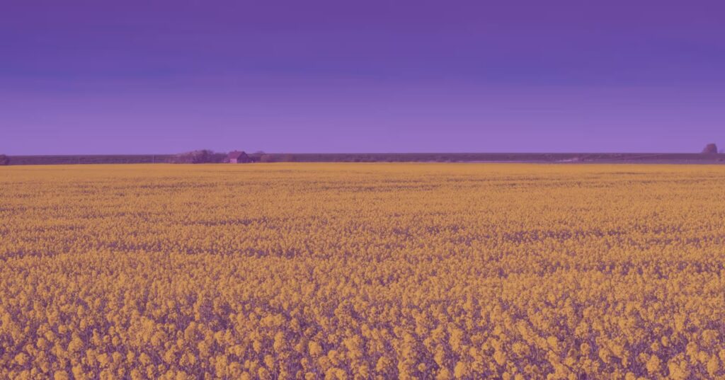 Enhancing Innovation in the Food Sector: UK-Canada Collaboration to Foster Growth food sector, greater innovation, UK-Canada partnership Food and Beverage Business