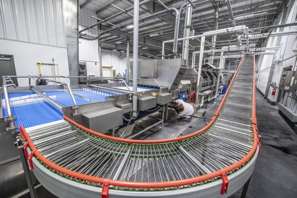 Conveor belt - Food and Beverage