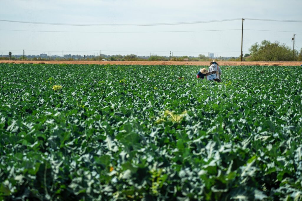 Migrant Workers' Increased Access Urgently Sought in English Food Industry Labor Review Food and Beverage Business Migrant Workers' Increased Access Urgently Sought in English Food Industry Labor Review Food and Beverage Business