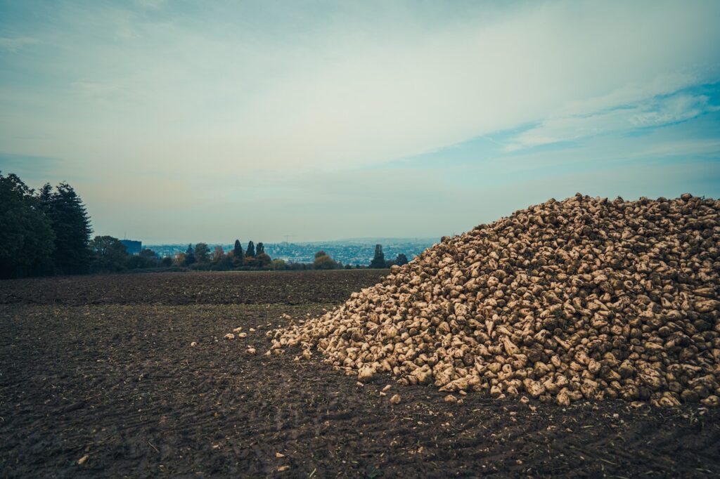 Opinion: An Analysis of the Factors Prompting the Spike in Raw Sugar and Cocoa Prices Food and Beverage Business