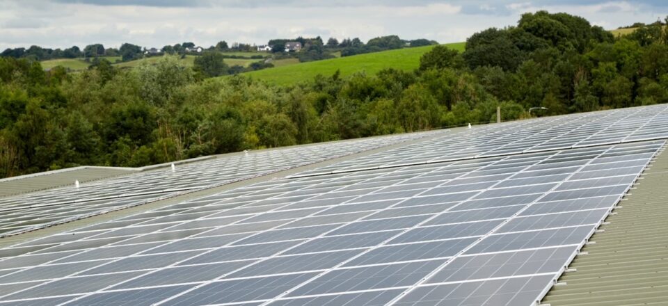 £2.8m Invested by Finnebrogue for Upgrading Plant-Based Food Factory £2.8m, factory, Finnebrogue, invests, Plant-based food, upgrade Food and Beverage Business