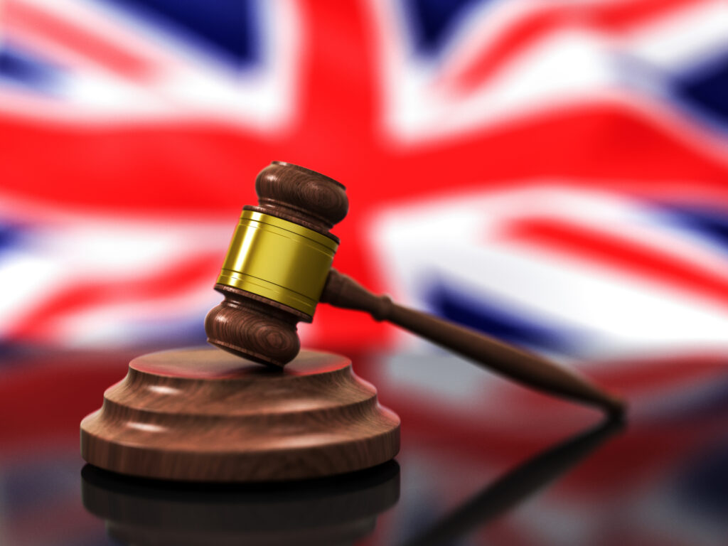 Adopting the 'Art of the Possible' Approach in Novel Food Regulation Food and Beverage Business