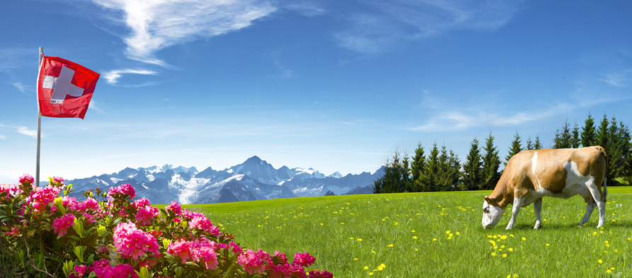 Application for Approval of Cultivated Meat Submitted to European Authorities Food and Beverage Business