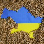 Concerns rise over potential food price spikes following Russia's withdrawal from Black Sea grain agreement Food and Beverage Business