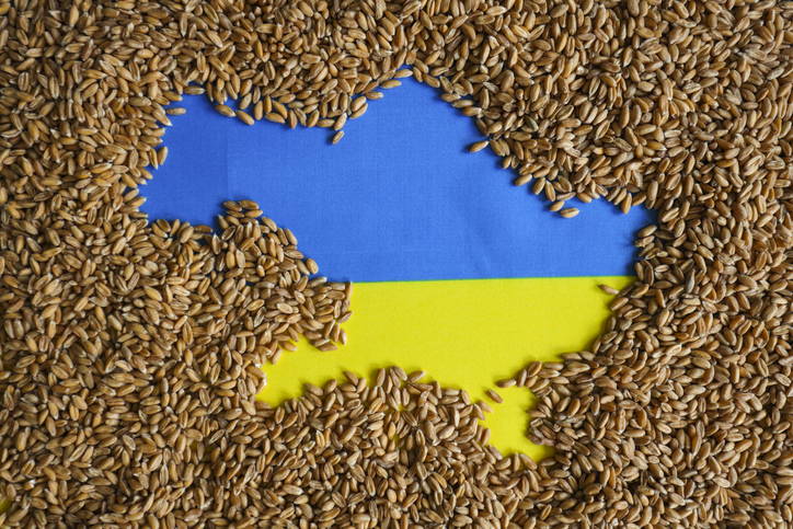 Concerns rise over potential food price spikes following Russia's withdrawal from Black Sea grain agreement Food and Beverage Business