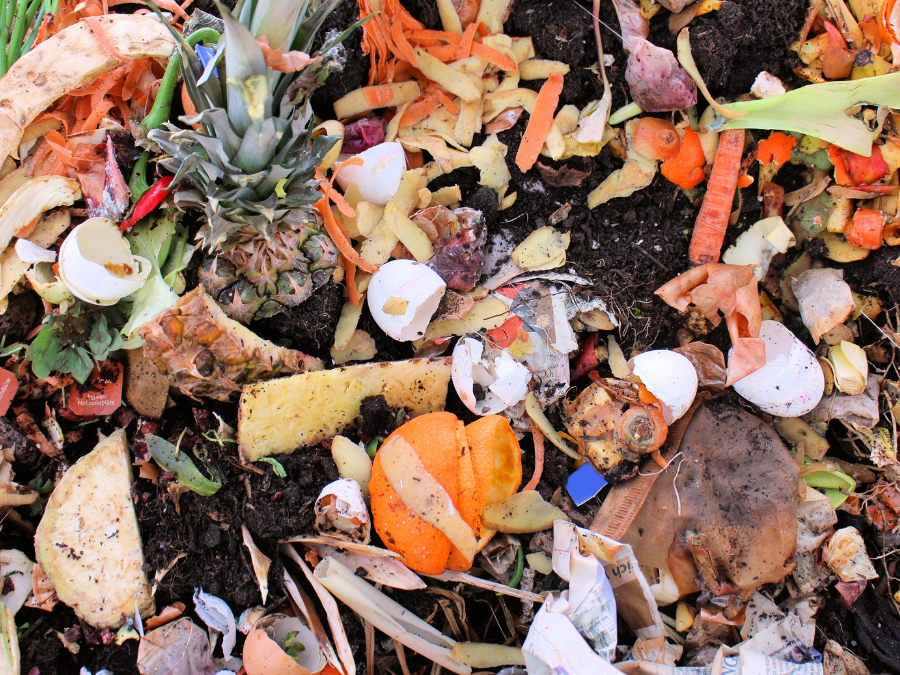 British Government Chooses to Maintain Voluntary Food Waste Initiatives until Mid-2025 Food and Beverage Business