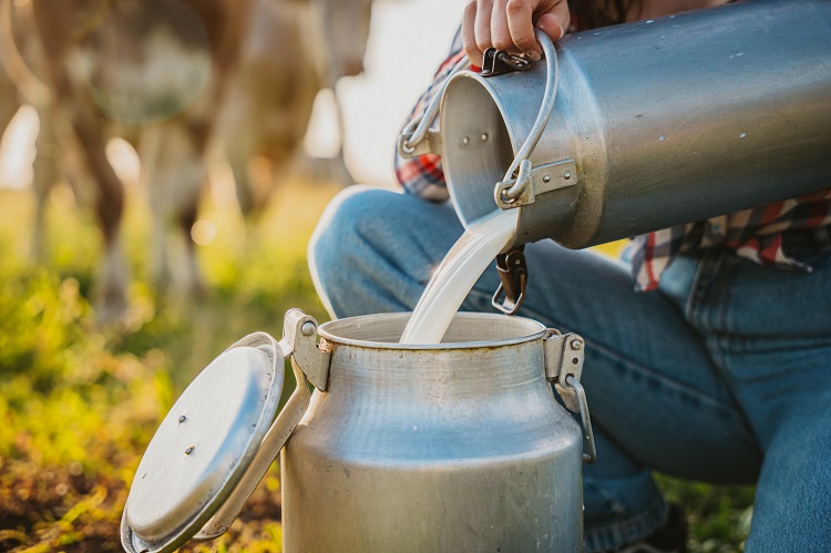 Is it possible for Campylobacter jejuni to endure in raw milk? Campylobacter jejuni, raw milk, survive Food and Beverage Business