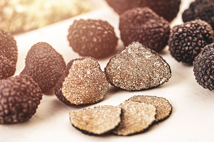 MycoTechnology Unveils Fungi Honey Truffle as Potent Natural Sweetener Food and Beverage Business