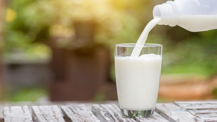 Nestle China Relies on Consumer Trust and Core Strengths to Overcome Dairy Industry Obstacles Consumer confidence, core capabilities, major dairy challenges, Nestle China Food and Beverage Business