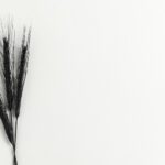 The Battle Against Hunger: Plumpy'nut, RUTF Production, and More Food and Beverage Business