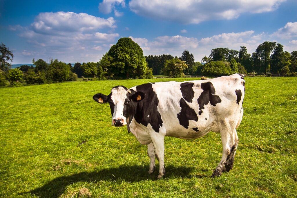 Irish Agri-Food Sector Receives €32 Million State Investment Food and Beverage Business Irish Agri-Food Sector Receives €32 Million State Investment Irish Agri-Food sector Food and Beverage Business
