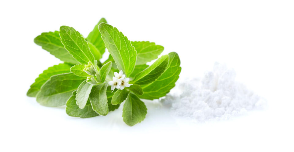 Stevia: A Natural Sweetener that May Solve the Issue of 'Sugarflation' while Promoting Better Health Food and Beverage Business