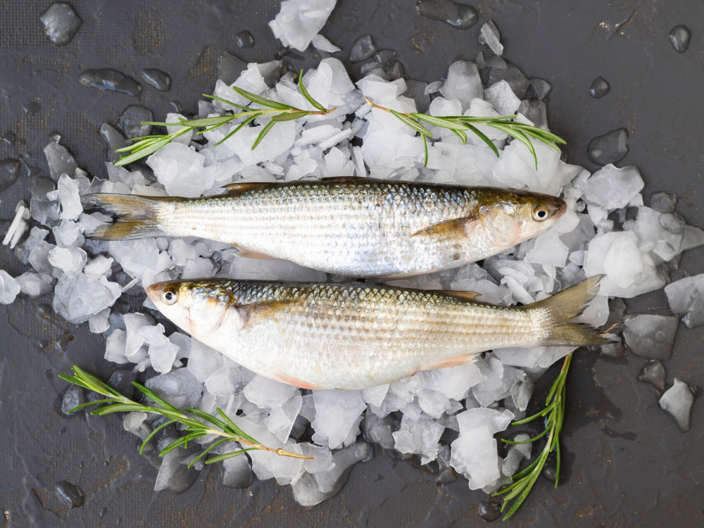 Meat and Fish Prices Continue to Decrease, Further Easing US Grocery Costs Food and Beverage Business Meat and Fish Prices Continue to Decrease, Further Easing US Grocery Costs Food and Beverage Business