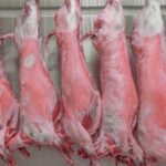 Analysis of UK Meat Exports in the First Half of 2023 2023, Agriculture, fish and savoury ingredients, H1, meat, meat exports, poultry & seafood, report, supply chain, UK Food and Beverage Business