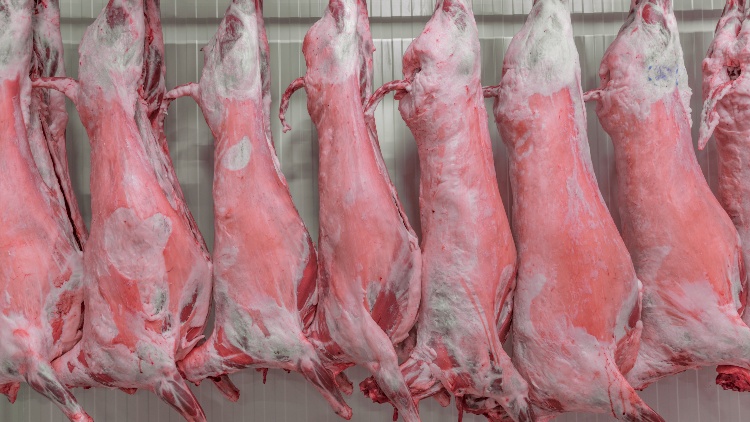 Analysis of UK Meat Exports in the First Half of 2023 2023, Agriculture, fish and savoury ingredients, H1, meat, meat exports, poultry & seafood, report, supply chain, UK Food and Beverage Business