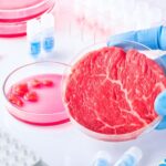 CellRev's Media Rejuvenation Technology to Lower the Cost of Cultivated Meat alternative proteins, business, Cell culture, cell-based meat, Cultivated meat, fish and savoury ingredients, food waste, growth media, Innovation and NPD, meat, Proteins, Sustainability Food and Beverage Business