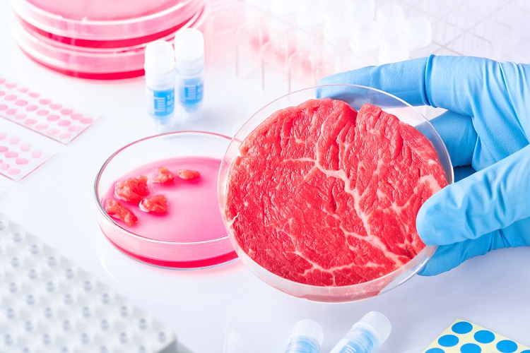 CellRev's Media Rejuvenation Technology to Lower the Cost of Cultivated Meat alternative proteins, business, Cell culture, cell-based meat, Cultivated meat, fish and savoury ingredients, food waste, growth media, Innovation and NPD, meat, Proteins, Sustainability Food and Beverage Business