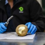 Efforts to Minimize Potato Waste Embarked by New Project business, food waste, Fruit, nut ingredients, Potato, Potato chip, snacks, vegetable Food and Beverage Business