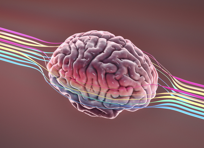 European Health Authorities Recognize Brain Health as a Vital Priority Brain, Cognition, Diet and health, Gut health, Health and nutritional ingredients, Healthy foods, Market Trends Food and Beverage Business