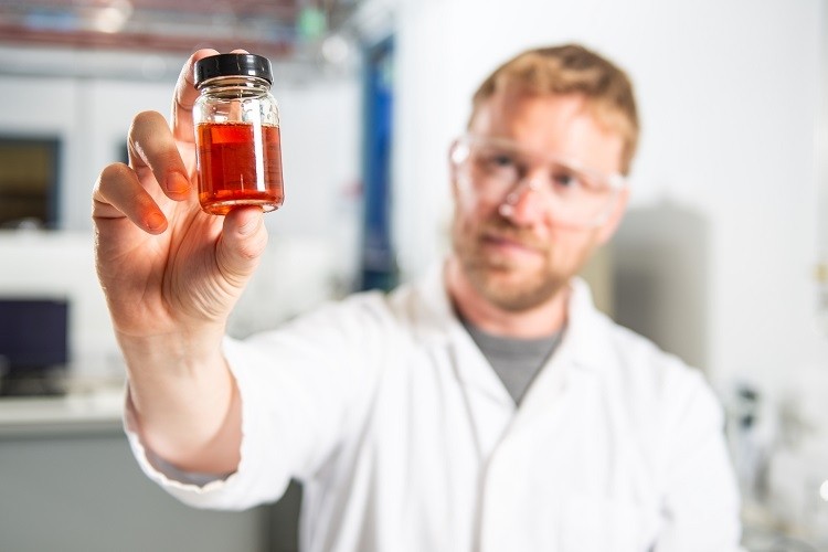 Food-tech company secures investment for research and development of eco-friendly oils and fats technology alternative proteins, business, Cultures, enzymes, fat, Fats & oils, food tech, Foodtech, Healthy foods, Innovation and NPD, Oil, Start-ups and disruptors, Sustainability, yeast Food and Beverage Business eco-friendly oils and fats technology
