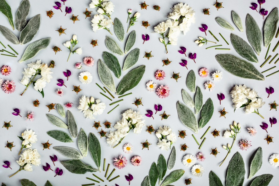 Identifying the Health Halo in Botanicals: Shifting Focus from Functionality to Ethics Beverage, botanical extracts, botanicals, clean label, ESG, Fruit, functional beverages, Health & Wellness, Health and nutritional ingredients, Natural claims, nut ingredients, Sugar reduction, vegetable Food and Beverage Business