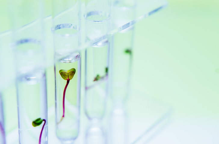 Navigating Current Challenges: Expert Advice for Food Tech Start-ups Ag-tech, agrifoodtech, alternative proteins, business, Cultures, digitalisation, enzymes, food tech, food waste, Fruit, Health and nutritional ingredients, Healthy foods, innovation, Innovation and NPD, investment, Mergers and acquisitions, nut ingredients, Proteins, Start-ups and disruptors, Sustainability, Transparency and supply chain, vegetable, yeast Food and Beverage Business