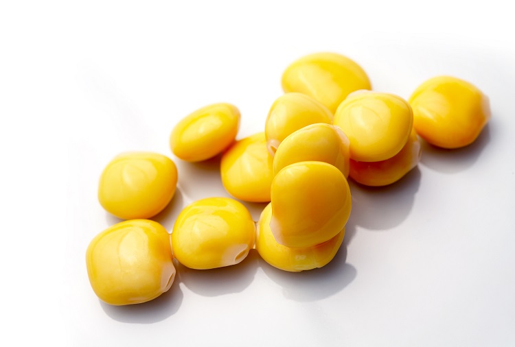 Newly Found Sweet Gene in Lupin Plant Promises to Eliminate Bitterness and Boost Plant Protein Variety alternative proteins, Fruit, Lupin, nut ingredients, Prepared foods, Proteins, Science, Sustainability, vegetable Food and Beverage Business