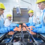 Sofina's Confirmation of Site Closure Poses a Threat to Young's Jobs business, fish and savoury ingredients, Frozen, Jobs, meat, poultry & seafood Food and Beverage Business