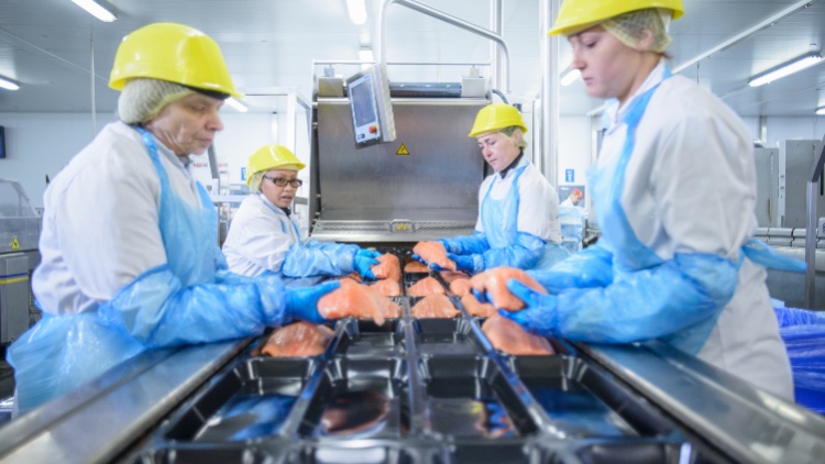 Sofina's Confirmation of Site Closure Poses a Threat to Young's Jobs business, fish and savoury ingredients, Frozen, Jobs, meat, poultry & seafood Food and Beverage Business