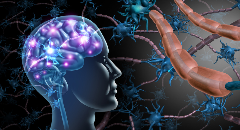 Study Connects Antibiotic Usage to Cognitive Health, Based on Observations Gut health, gut-brain axis, microbiome, Prebiotic, Probiotic, research Food and Beverage Business