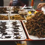 Study reveals potential to increase interest in entomophagy alternative proteins, Edible insects, Proteins, Science, snacks Food and Beverage Business