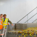 £5m Investment Doubles Healeys' Processing Capacity £5m investment, doubles, Healeys, processing capacity Food and Beverage Business