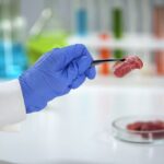 Breakthrough in Muscle Maturation in 3D Format with Cultivated Meat Media Supplement alternative protein, alternative proteins, business, cell cultured meat, Cultivated meat, fish and savoury ingredients, food safety, growth media, meat, Proteins, Sustainability Food and Beverage Business