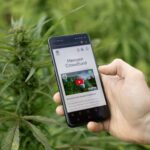 CBD brand faces significant challenges due to fundraising regulatory uncertainty Cannabis, Cbd, CBD / Hemp, CBD and Hemp, crowdfunding, Financial plays, Hemp, hemp extracts, Manufacturers, marketing, regulation, Regulation & legislation, Regulation & Policy, supply chain, Sustainability, Views Food and Beverage Business