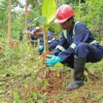 Ghana's New Initiative Reverses Years of Neglect, Aims to Make Cocoa More Appealing and Sustainable to a Younger Generation cocoa, Cocoa & Sugar, Cocoa bean, Commodities, Editor's Blog, Ghana, Sustainability, sustainable sourcing Food and Beverage Business