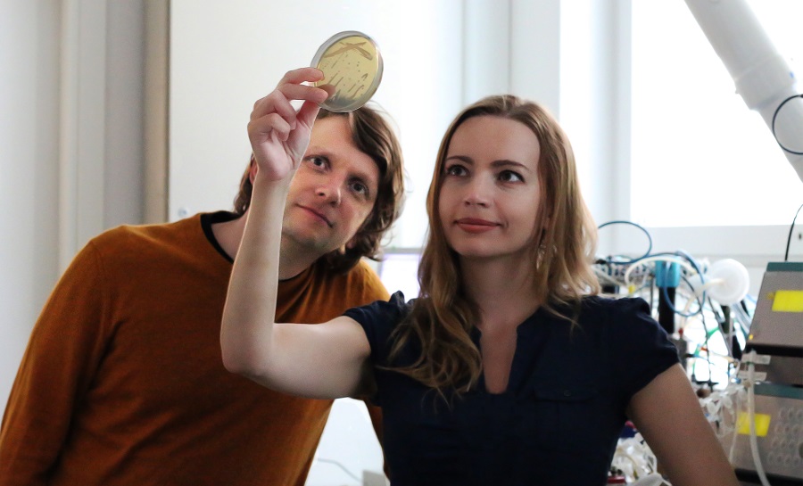 Melt&Marble Develops Animal-Free Fats to Enhance Taste Similarity between Alternative, Animal Proteins alt proteins, animal-free, Cell cultured meat and milk, Entrepreneurs to watch, fat, Fats & oils, fish and savory ingredients, Health & Wellness, Manufacturers, Markets, meat, plant-based, precision fermentation, Prepared foods, R&D, suppliers, Sustainability Food and Beverage Business