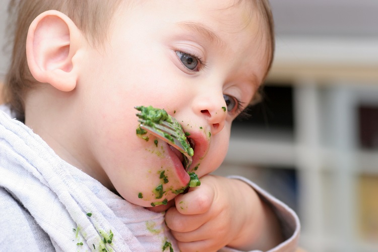 Organix Seeks to Introduce New Flavors and Textures to Children, Spotting a Promising Opportunity Baby food, business, Cereals and bakery preparations, Dairy-based ingredients, Diet and health, fish and savoury ingredients, Food for kids, Fruit, meat, nut ingredients, Prepared foods, Proteins, toddler food, vegetable, weaning Food and Beverage Business