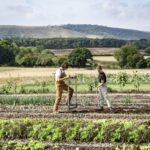 SAI's Definition and Framework for Regenerative Agriculture Unveiled business, EU, regenerative agriculture, Sustainability, Transparency and supply chain Food and Beverage Business