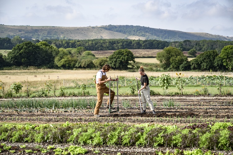 SAI's Definition and Framework for Regenerative Agriculture Unveiled business, EU, regenerative agriculture, Sustainability, Transparency and supply chain Food and Beverage Business