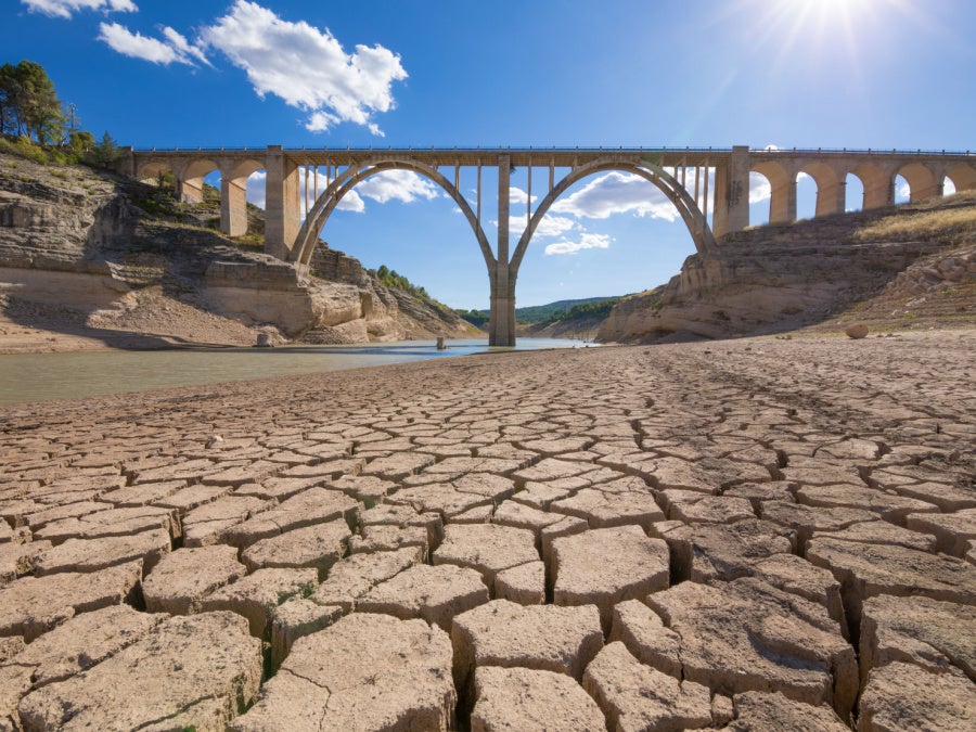 Spain's food regulatory body seeks immediate water access as drought conditions persist Food and Beverage Business